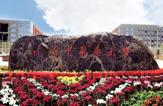 甘肃致敬,领导与朋友们共襄盛举