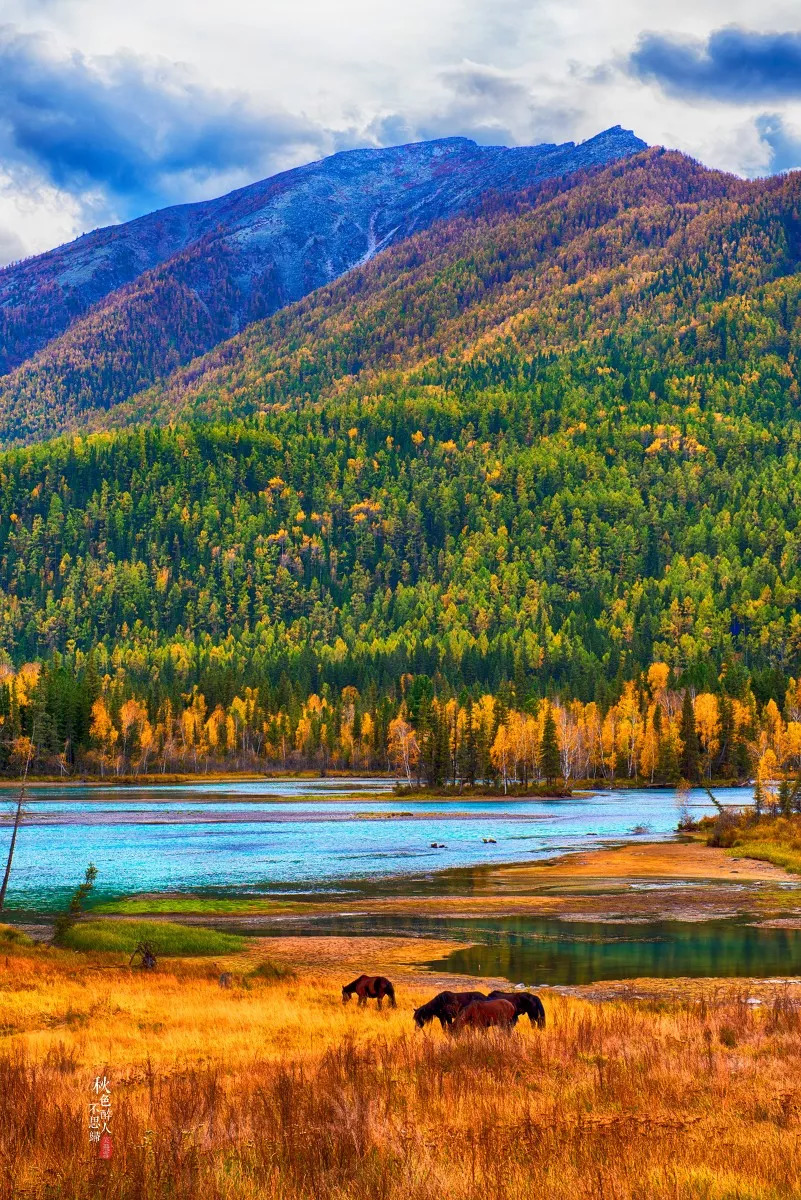 探寻新疆的无限魅力