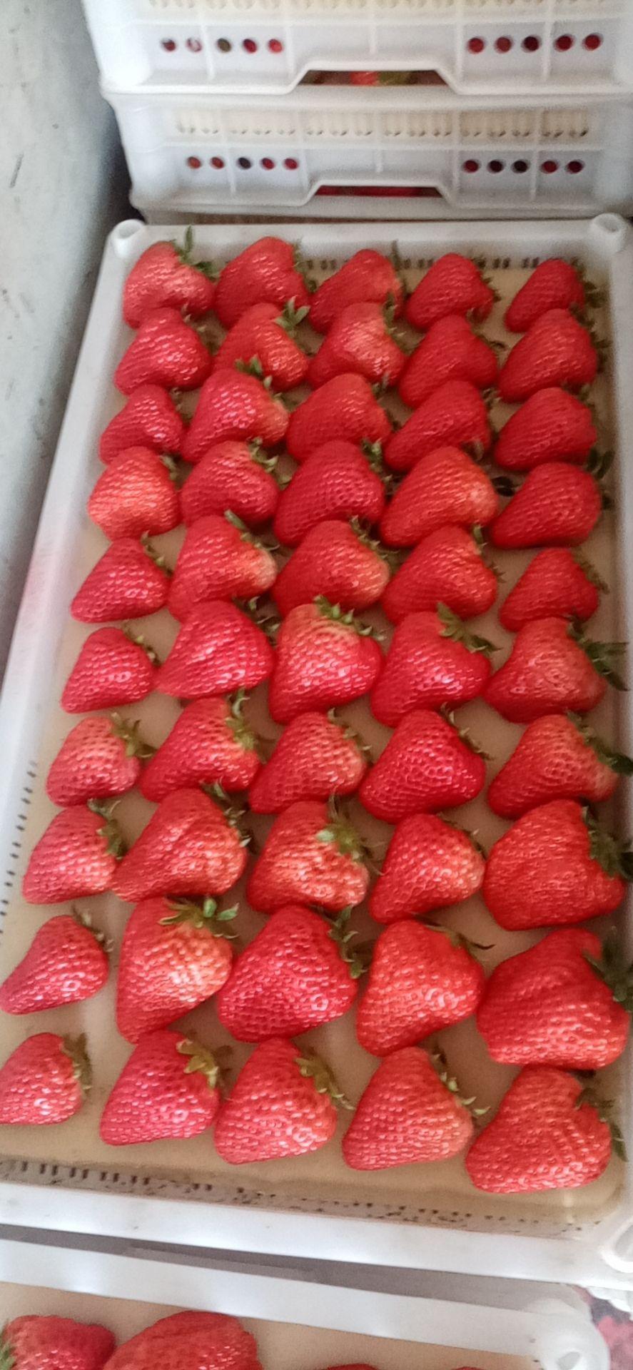 丹东之旅,探索这座城市的魅力