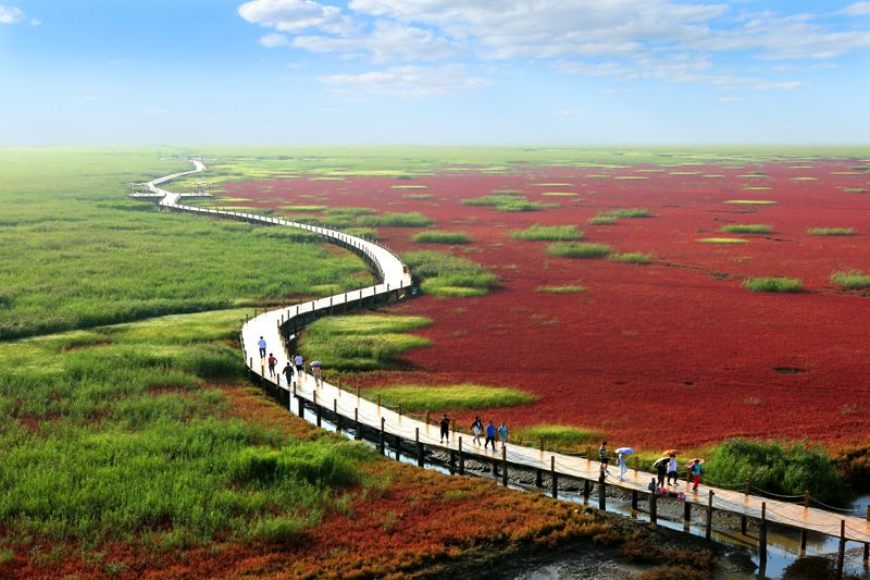 盘锦,魅力湿地之都的魅力展现