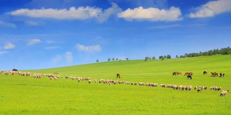 呼伦贝尔,领导与朋友共聚盛会