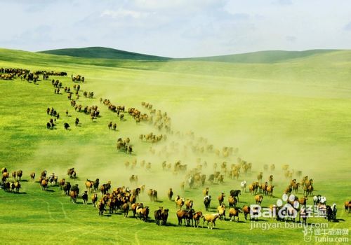 呼伦贝尔,领导与朋友共聚盛会