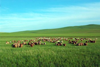 呼伦贝尔,领导与朋友共聚盛会